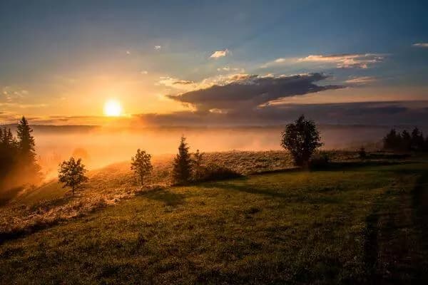Good Morning