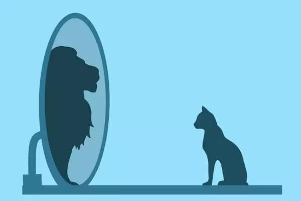 Confidence