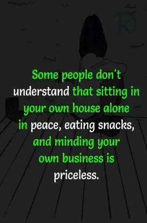 Some people don't understand that sitting in your own house alone in peace, eating snacks, and minding your own business is priceless.
