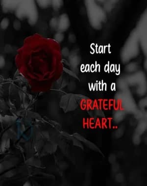 Start Each Day with a Grateful Heart.