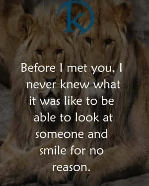 Before I met you, I never knew what it was like to be able to look at someone and smile for no reason.