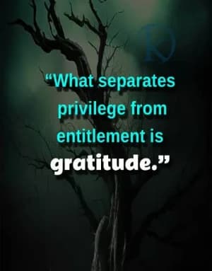 What separates privilege from entitlement is gratitude.
