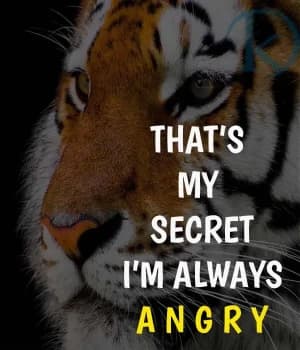 THAT'S MY SECRET I'M ALWAYS ANGRY.