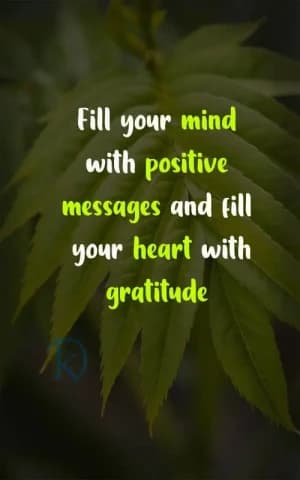 Fill your mind with positive messages and fill your heart with gratitude.