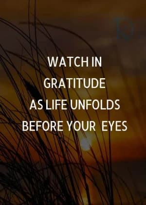 Watch in gratitude as life unfolds before your eyes.