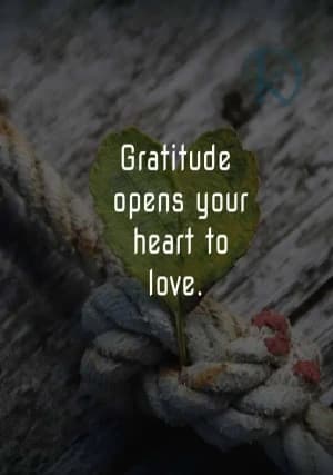 Gratitude opens your heart to love.