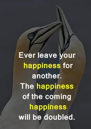 Ever leave your happiness for another. The happiness of the coming happiness will be doubled.