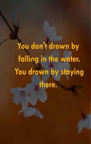 You don't drown by falling in the water. You drown by staying there.