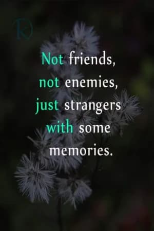 Not friends, not enemies, just strangers with some memories.