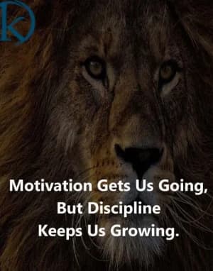 Motivation gets us going, but discipline keeps us growing.