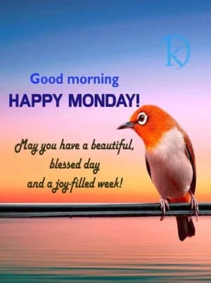 Good morning! May you have a beautiful, blessed day and a joyful week!