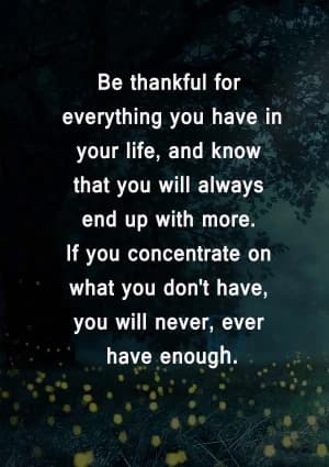 Be thankful for everything you have in your life, and know that you will always end up with more. If you concentrate on what you don't have, you will never, ever have enough.