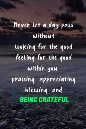 Never let a day pass without looking for the good feeling for the good within you, praising, appreciating, blessing, and being grateful.