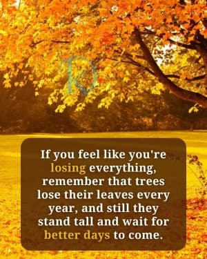 If you feel like you're losing everything, remember that trees lose their leaves every year, and still they stand tall and wait for better days to come.