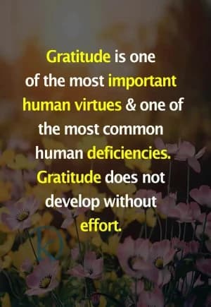 Gratitude is one of the most important human virtues and one of the most common human deficiencies. Gratitude does not develop without effort.