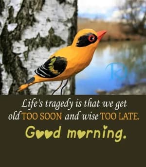 Life's tragedy is that we get old TOO SOON and wise TOO LATE. Good marning.