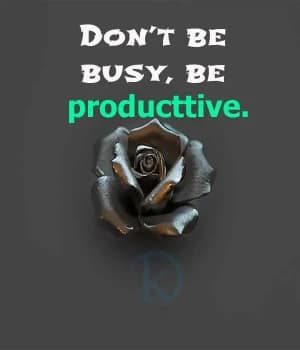 Don't Be Busy, Be Productive.