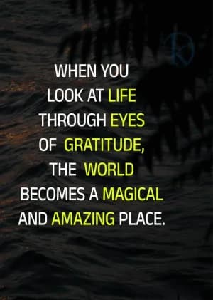 When you look at life through the eyes of gratitude, the world becomes a magical and amazing place.