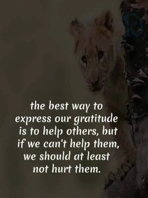 The best way to express our gratitude is to help others, but if we can't help them, we should at least not hurt them.