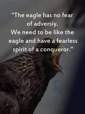 The eagle has no fear of adversity. We need to be like the eagle and have a fearless spirit of a conqueror.