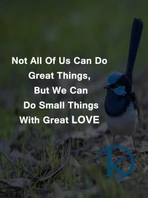 Not all of us can do great things, but we can do small things with great love.