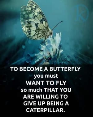 TO become a butterfly, you must want to fly so much that you are willing to give up being a caterpillar.