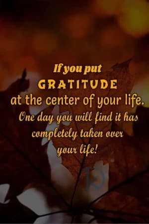 If you put GRATITUDE at the center of your life. One day, you will find it has completely taken over your life!
