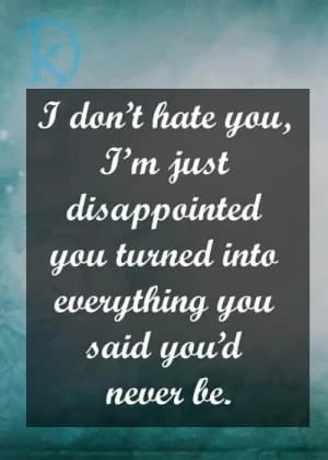 I don't hate you, I'm just disappointed you turned into everything you said you'd never be.