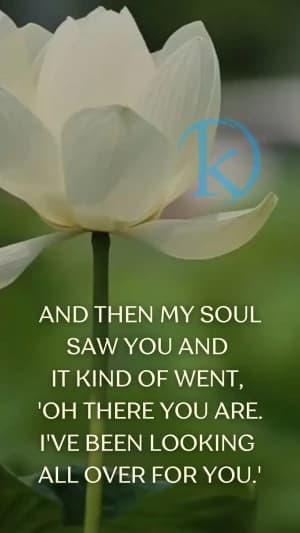 AND THEN MY SOUL SAW YOU, AND IT KIND OF WENT, 'OH THERE YOU ARE. I'VE BEEN LOOKING ALL OVER FOR YOU.'