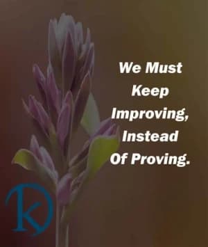 We must keep improving instead of proving.