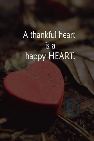 A thankful heart is a happy heart.