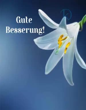 Gute Besserung!