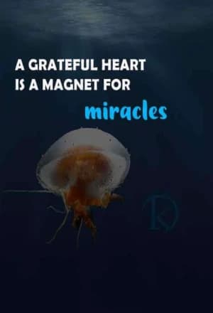 A Grateful Heart Is a Magnet for Miracles.