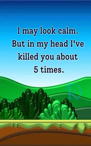 I may look calm. But in my head, I've killed you about five times.