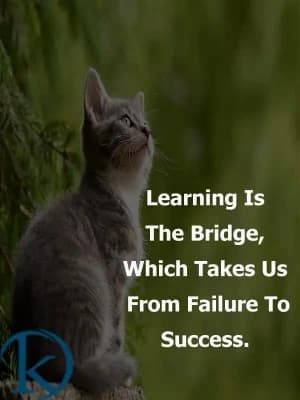 Learning is the bridge which takes us from failure to success.