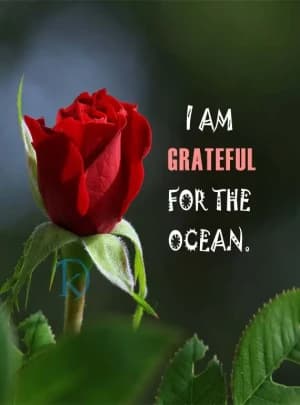 I Am Grateful for the Ocean.