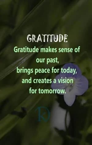 Gratitude makes sense of our past, brings peace for today, and creates a vision for tomorrow.