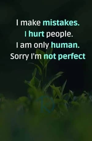 I make mistakes. I hurt people. I am only human. Sorry, I'm not perfect.