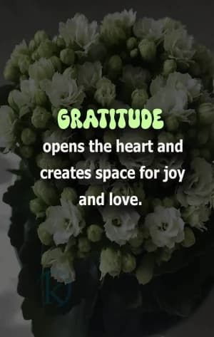GRATITUDE opens the heart and creates space for joy and love.