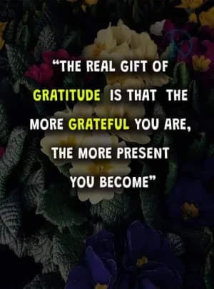The real gift of gratitude is that the more grateful you are, the more present you become.