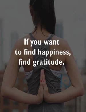If you want to find happiness, find gratitude.