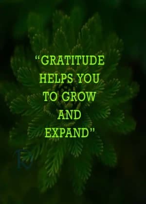 Gratitude helps you to grow and expand.
