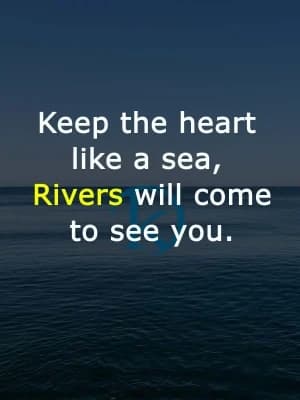 Keep the heart like a sea. Rivers will come to see you.