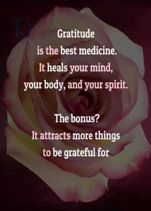 Gratitude is the best medicine. It heals your mind, your body, and your spirit.  The bonus? It attracts more things to be grateful for.