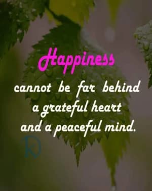 Happiness cannot be far behind a grateful heart and a peaceful mind.