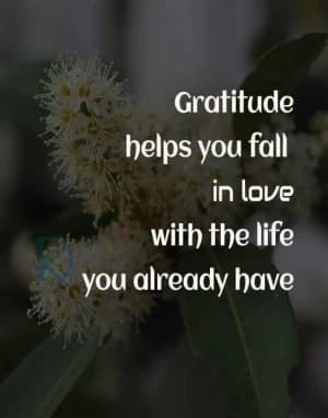 Gratitude helps you fall in love with the life you already have.
