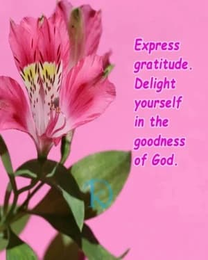 Express gratitude. Delight yourself in the goodness of God.