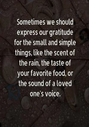 Sometimes we should express our gratitude for the small and simple things. Like the scent of the rain, the taste of your favorite food, or the sound of a loved one's voice.