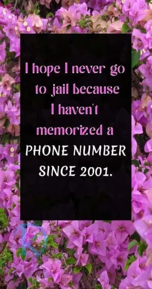 I hope I never go to jail because I haven't memorized a phone number since 2001.