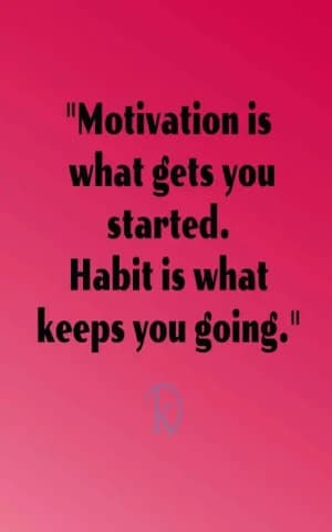 Motivation is what gets you started. Habit is what keeps you going.